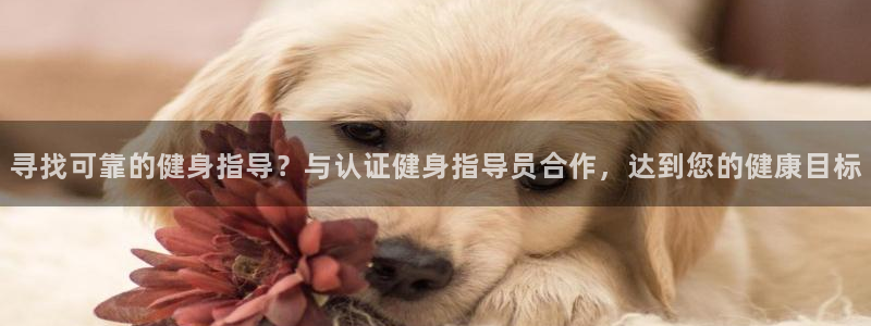 意昂2平台