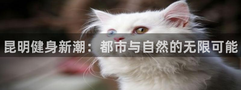 意昂2官方平台